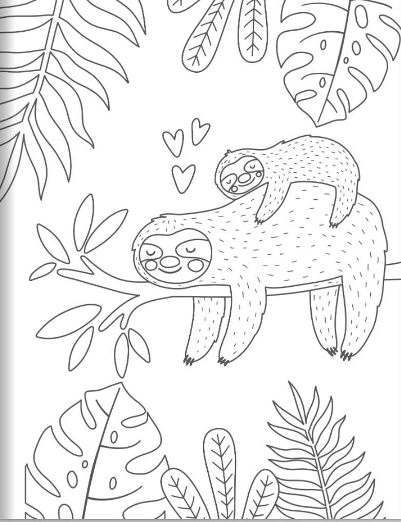 Coloring Book - Amazing Animals