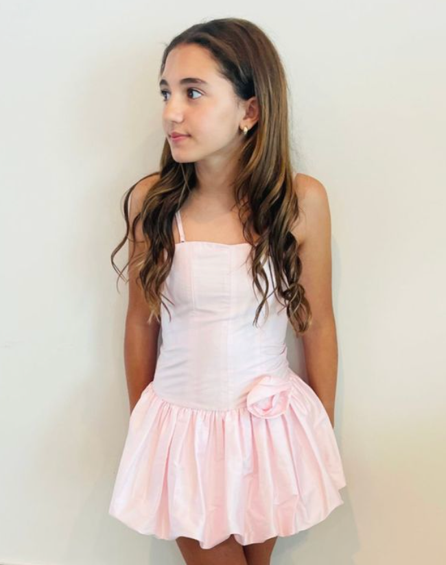 Theme NYC Bailey Pastel Pink Taffeta Ballet Dress