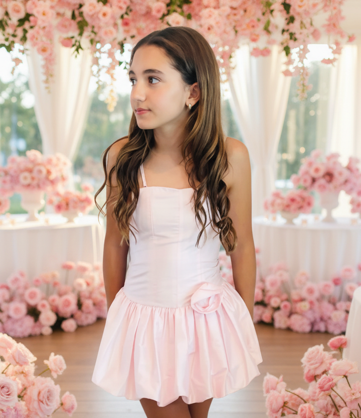 Theme NYC Bailey Pastel Pink Taffeta Ballet Dress