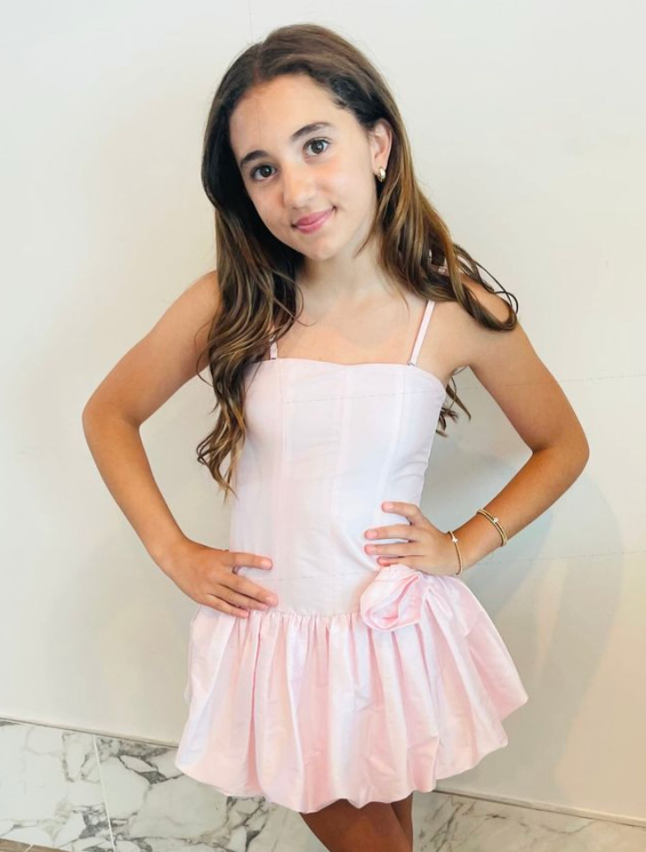 Theme NYC Bailey Pastel Pink Taffeta Ballet Dress