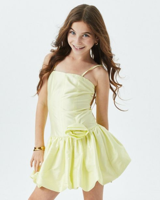 Theme NYC Bailey Pastel Yellow Taffeta Ballet Dress