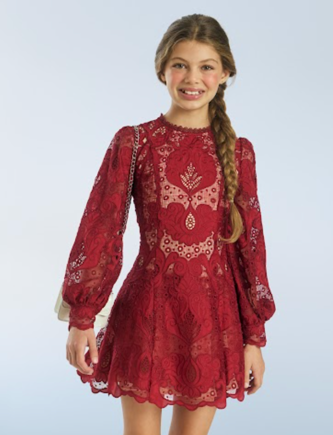 Marlo Kids Gisele Embroidery Mini Dress-Cranberry
