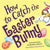 How to Catch the Easter Bunny Hard Bound Book